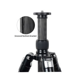 Treppiede Ibis CARBON Obelisk