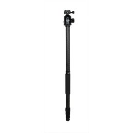 Treppiede Ibis CARBON Obelisk