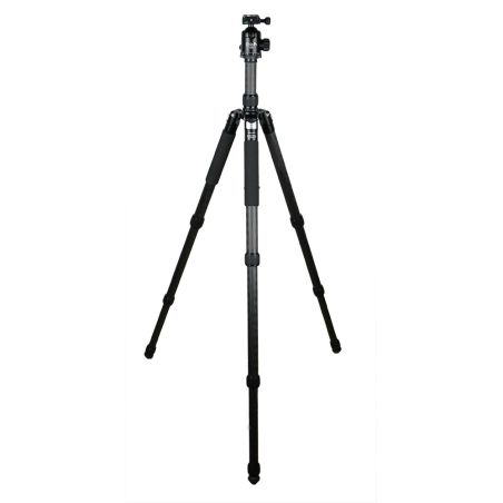 Treppiede Ibis CARBON Obelisk