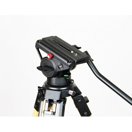 Ibis Optics Testa Fotografica Fluida