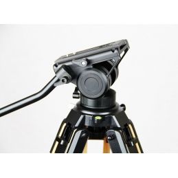 Ibis Optics Testa Fotografica Fluida