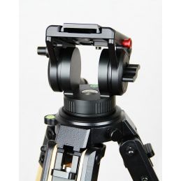 Ibis Optics Testa Fotografica Fluida