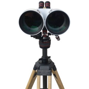 100 XL SD White Pearl