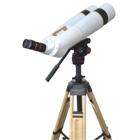 100 XL SD White Pearl