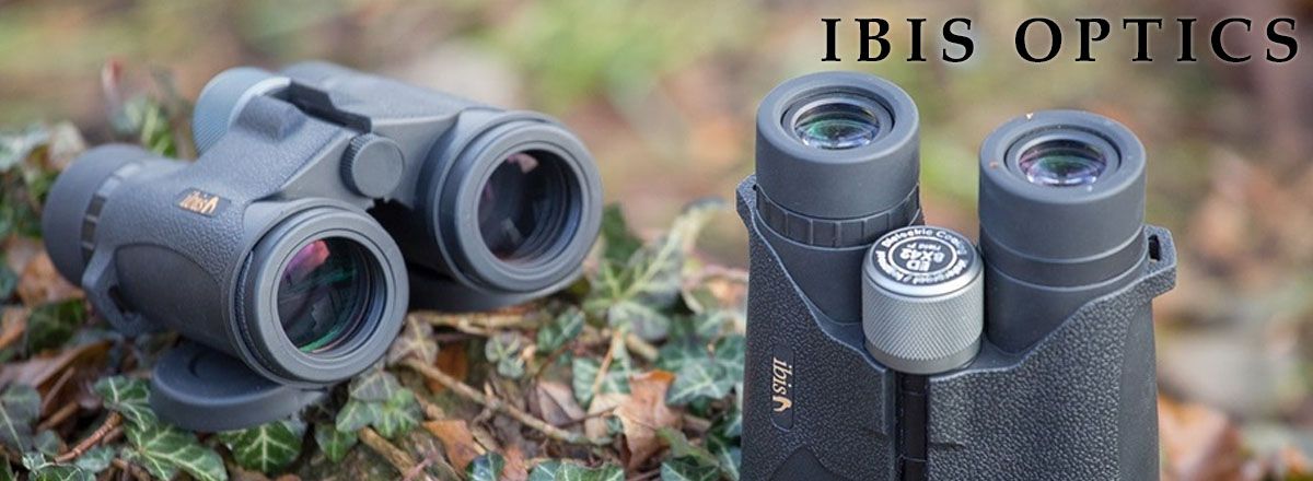 Ibis Optics
